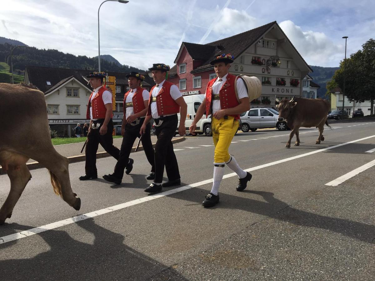 Hundwil Appenzellerland - Ferienhaus "Boemmeli"ヴィラ エクステリア 写真