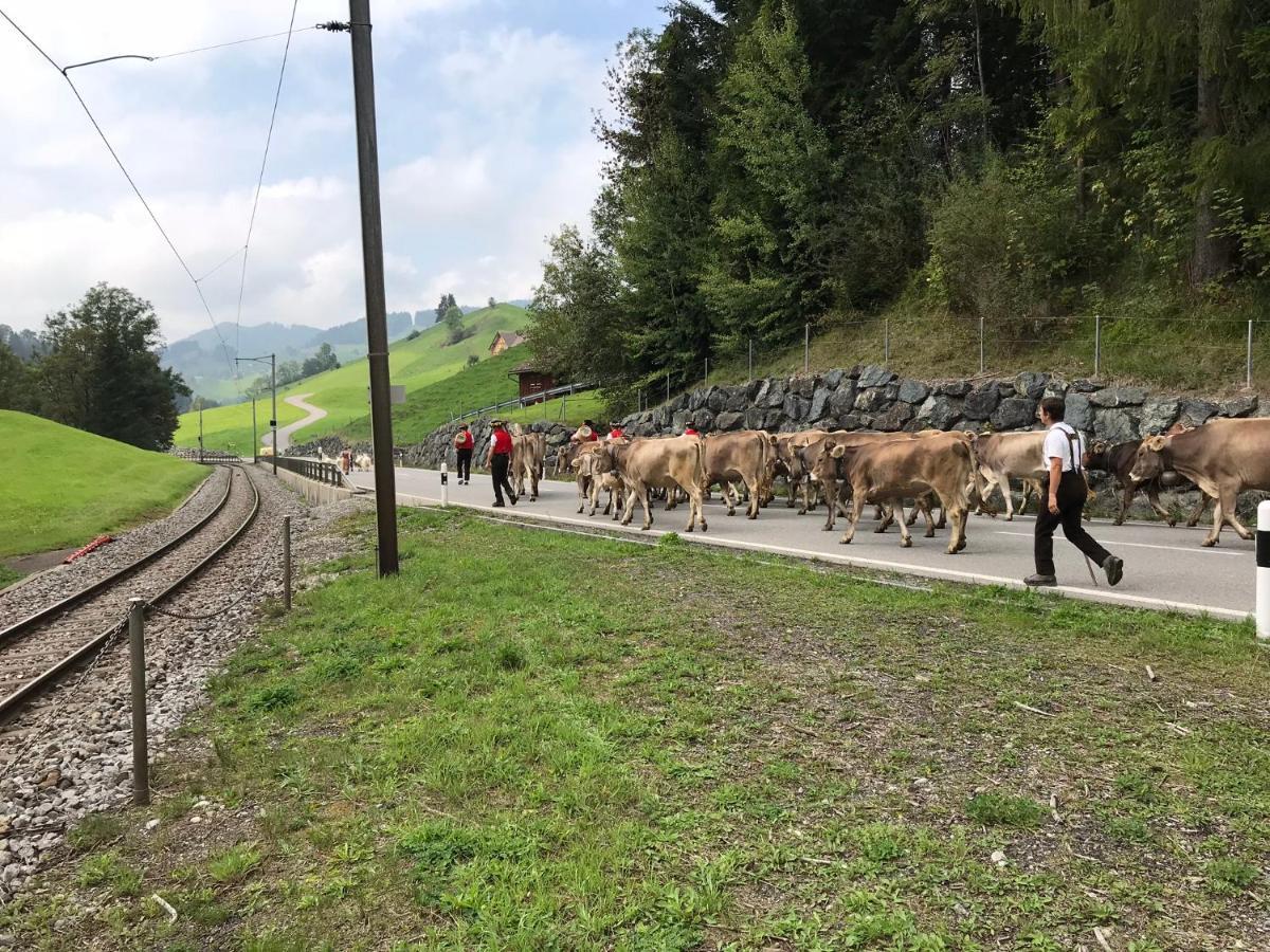 Hundwil Appenzellerland - Ferienhaus "Boemmeli"ヴィラ エクステリア 写真